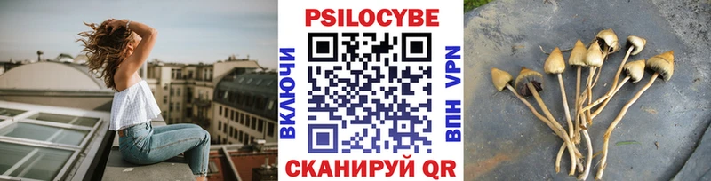 Псилоцибиновые грибы MAGIC MUSHROOMS  ссылка на мегу зеркало  Кулебаки 
